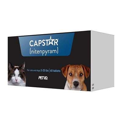 Image showing  Oral Flea Tablets for Dogs and Cats