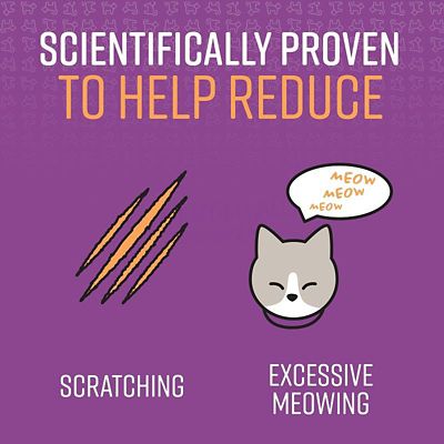 Image showing  Calming Collar for Cats