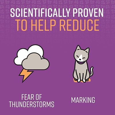 Image showing  Calming Collar for Cats