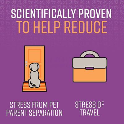 Image showing  Calming Spray for Dogs, 1.62 oz.