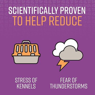 Image showing  Calming Spray for Dogs, 1.62 oz.