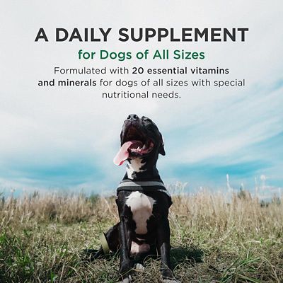 Image showing  Plus Mineral and Vitamin Supplement for Dogs