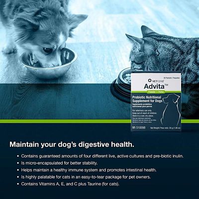 Image showing  Probiotic Nutritional Supplement for Dogs, 30 ct.
