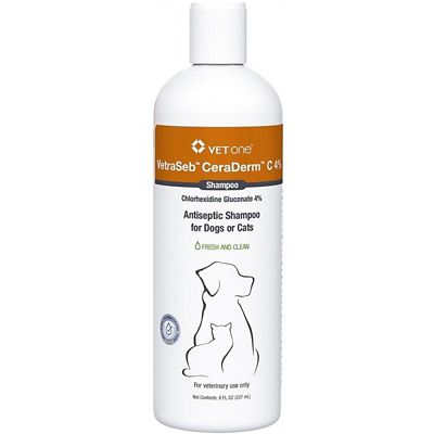 VetraSeb CeraDerm C Antiseptic Pet Shampoo, 4%