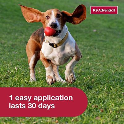 Image showing  K9 Advantix II Topical Flea and Tick Treatment for Dogs