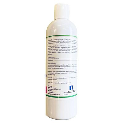 Image showing  Cucumber Melon Scented Antiseptic Pet Shampoo, 12 oz.