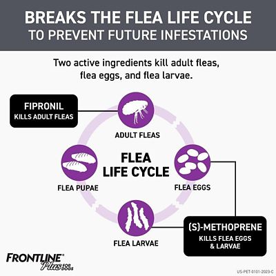 Image showing  Plus Topical Flea, Tick and Lice Solution for Dogs