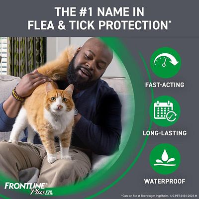 Image showing  Plus Topical Flea, Tick and Lice Treatment for Cats