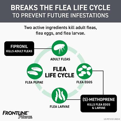 Image showing  Plus Topical Flea, Tick and Lice Treatment for Cats