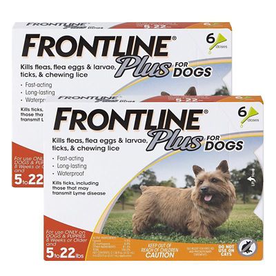 Image showing  Plus Topical Flea, Tick and Lice Solution for Dogs