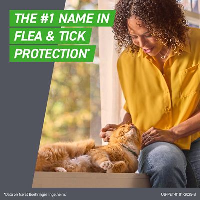 Image showing  Plus Topical Flea, Tick and Lice Treatment for Cats