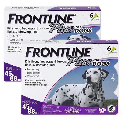 Image showing  Plus Topical Flea, Tick and Lice Solution for Dogs