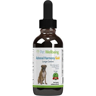 Pet Wellbeing Adrenal Harmony Gold Adrenal Gland Supplement Oral Drops