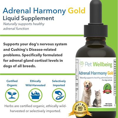 Image showing  Adrenal Harmony Gold Adrenal Gland Supplement Oral Drops