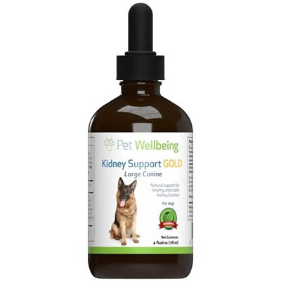 Pet Wellbeing Kidney Support Gold for Dogs and Cats
