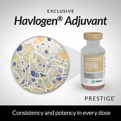 Image showing  2 Horse Vaccine