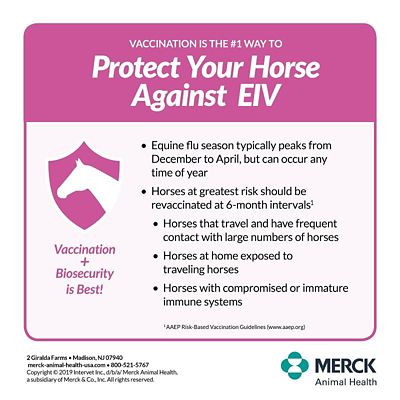 Image showing  2 Horse Vaccine