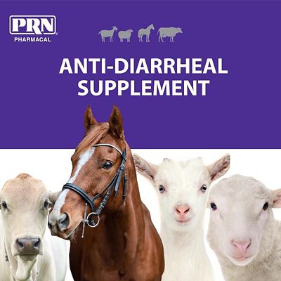 Image showing  Bolus Anti-Diarrheal Demulcent, 50 ct.