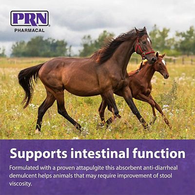 Image showing  Bolus Anti-Diarrheal Demulcent, 50 ct.