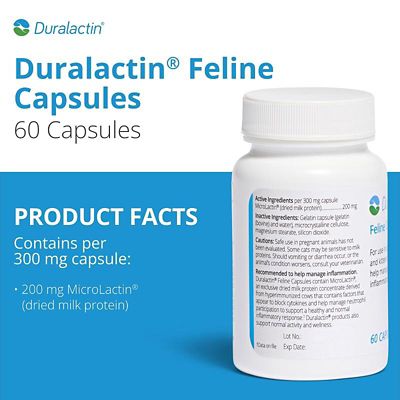 Image showing  Joint Supplement Capsules for Cats, 200 mg, 60 ct.