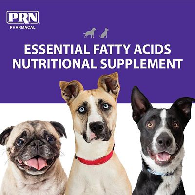 Image showing  365 Skin and Coat Health Liquid Supplement for Dogs and Cats, 16 oz.