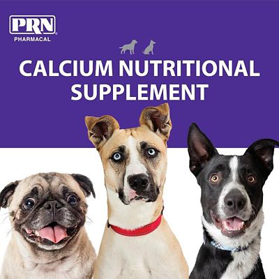 Image showing  Calcium Supplement Gel for Dogs, 12 mL