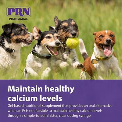 Image showing  Calcium Supplement Gel for Dogs, 12 mL