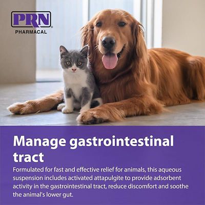 Image showing  Oral Anti-Diarrheal Supplement for Animals, 4 oz.