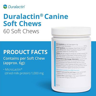 Image showing  Joint Supplement Soft Chews for Dogs