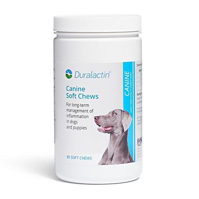 Duralactin Joint Supplement Soft Chews for Dogs