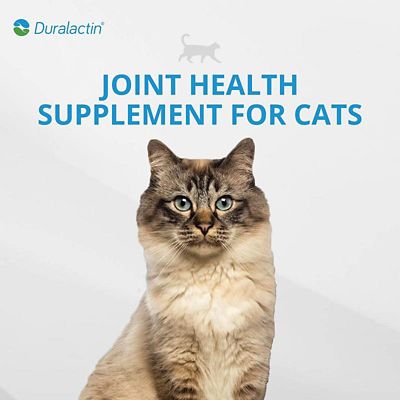 Image showing  and Fatty Acids Joint Supplement Soft Chews for Cats, 60 ct.