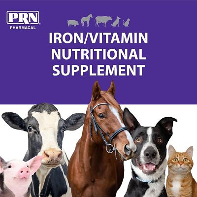 Image showing  4x Flavored Vitamin and Iron Supplement for Cats