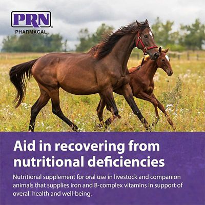 Image showing  4x Flavored Vitamin and Iron Supplement for Cats