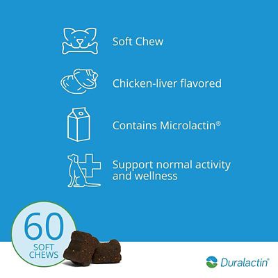 Image showing  Joint Plus Soft Chews for Dogs