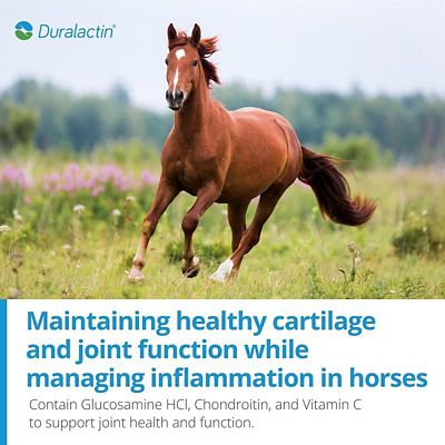 Image showing  Equine Joint Plus Pellets, 3.75 lb.