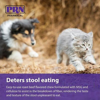 Image showing  Coprophagia Deterrent Soft Chews for Dogs, 40 ct.