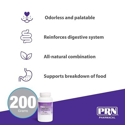 Image showing  Digestion Supplement for Dogs and Cats