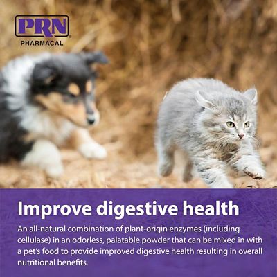 Image showing  Digestion Supplement for Dogs and Cats