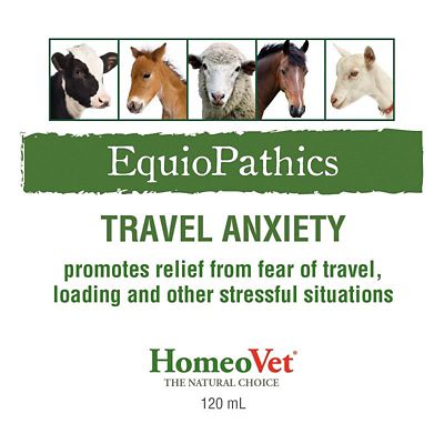 Image showing  EquioPathics Travel Anxiety Remedy, 120 mL