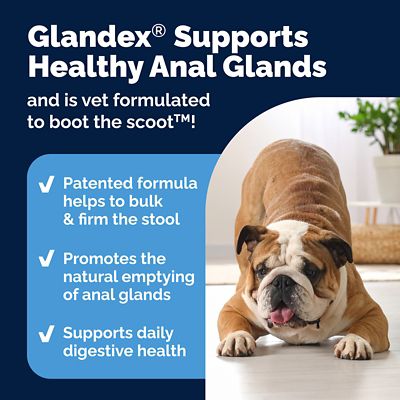 Image showing  Anal Gland Support Soft Chews for Dogs, Peanut Butter Flavor