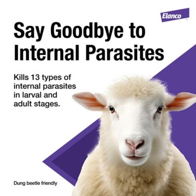 Image showing  Oral Drench Dewormer for Sheep, 4L