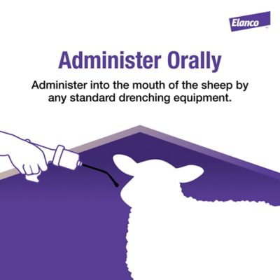 Image showing  Oral Drench Dewormer for Sheep, 4L