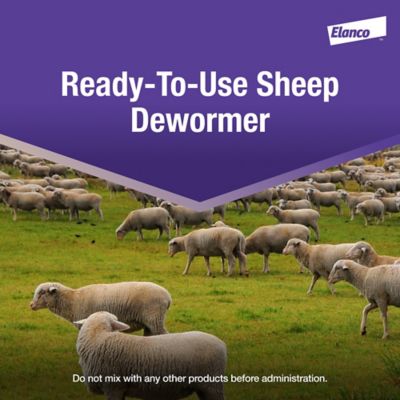 Image showing  Oral Drench Dewormer for Sheep, 4L