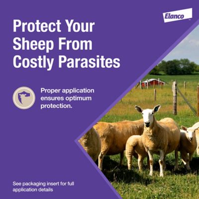 Image showing 5 th Cydectin Oral Drench Dewormer for Sheep, 4L