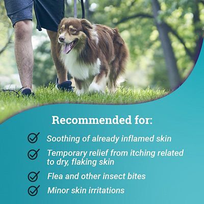Image showing  Relief Anti-Itch Pet Shampoo, 12 oz.