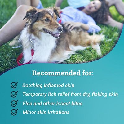 Image showing  Anti-Itch Spray for Pets, 8 oz.