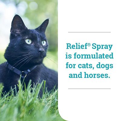 Image showing  Anti-Itch Spray for Pets, 8 oz.