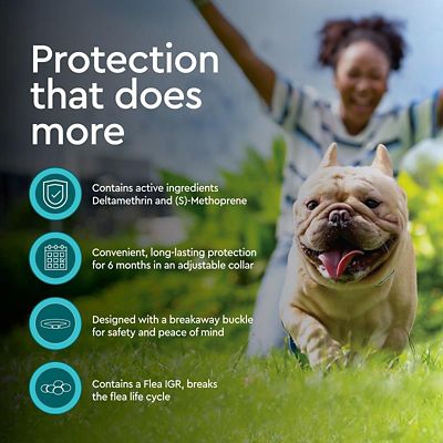 Image showing  Pro Flea and Tick Collar for Dogs