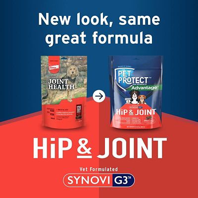 Image showing  Hip and Joint with Synovi G3 Soft Chews for Dogs