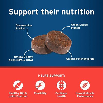 Image showing  Hip and Joint with Synovi G3 Soft Chews for Dogs